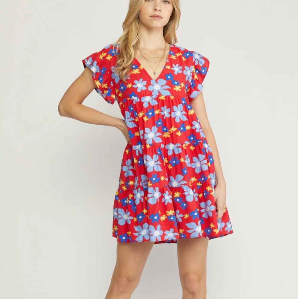 Entro Red Blue Floral Dress Lined